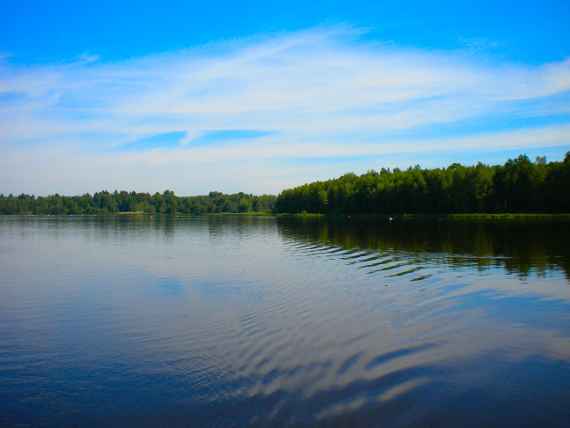 Blick auf den Waldviertler Karpfenteich.