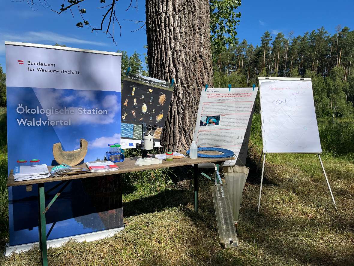 Möglichst viel Infomaterial und etliche Anschauungsobjekte wurden an der Station geboten um die vielfältige Forschungsarbeit an den Teichen darzustellen.  