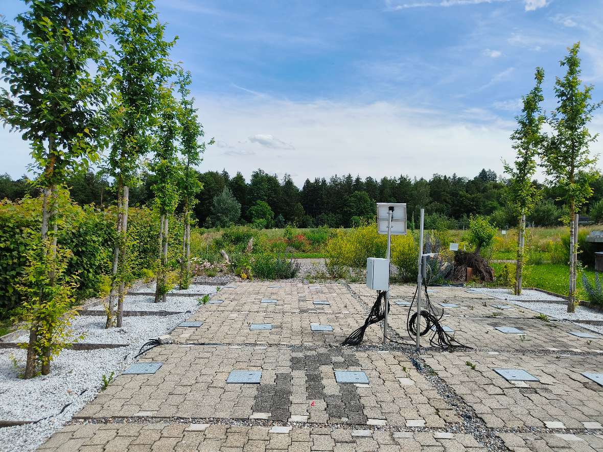 Besichtigung der Testanlage für Struktursubstrate mit gepflanzten Bäumen an der Zürcher Hochschule für Angewandte Wissenschaften in Wädenswil, errichtet und ausgestattet nach dem Vorbild der Baumlysimeteranlage in Wien. 