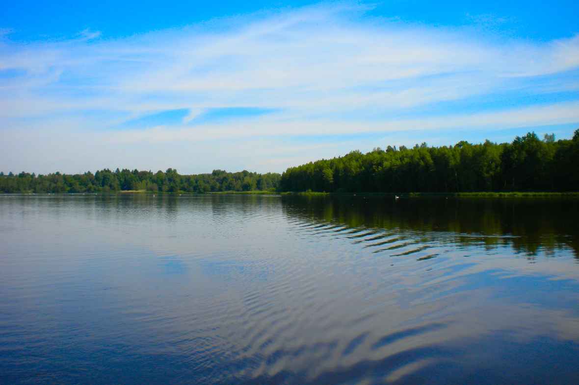 Blick auf den Waldviertler Karpfenteich.