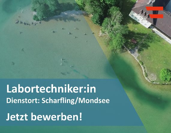 Titelbild Jobausschreibung. Ein Teil des Mondsees aus der Vogelperspektive.